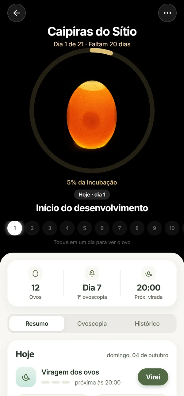 Tela da chocada com o ovo e o dia