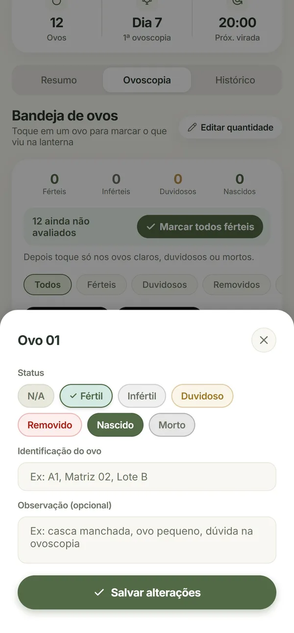 Bandeja de ovoscopia